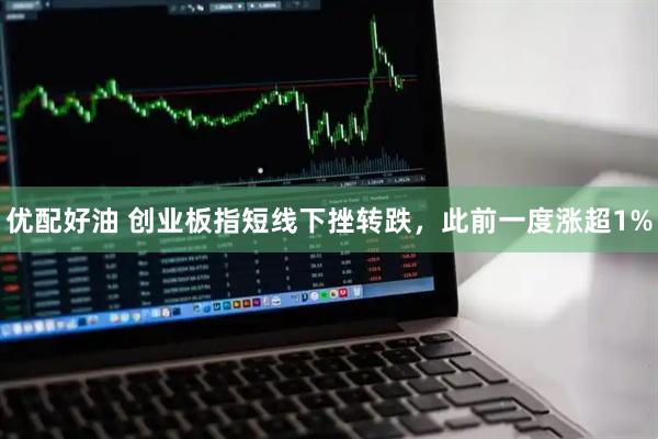 优配好油 创业板指短线下挫转跌，此前一度涨超1%