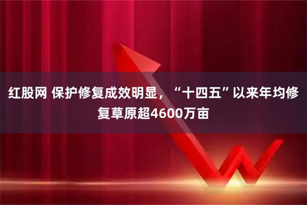 红股网 保护修复成效明显，“十四五”以来年均修复草原超4600万亩