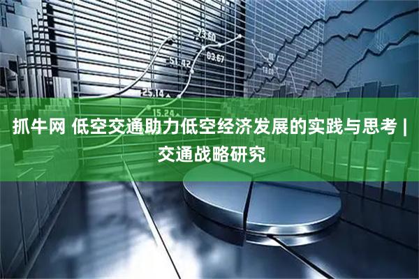 抓牛网 低空交通助力低空经济发展的实践与思考 | 交通战略研究