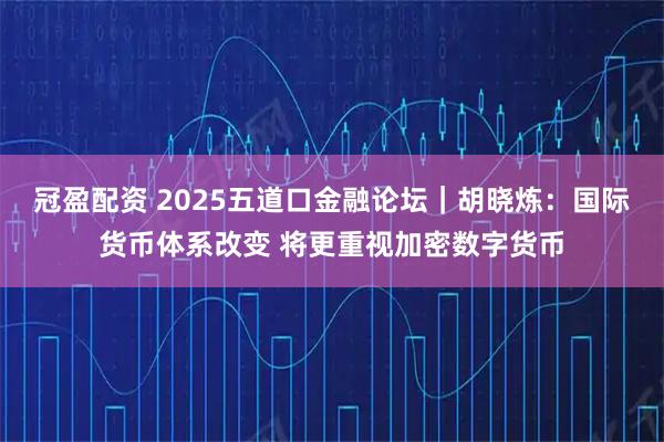 冠盈配资 2025五道口金融论坛｜胡晓炼：国际货币体系改变 将更重视加密数字货币
