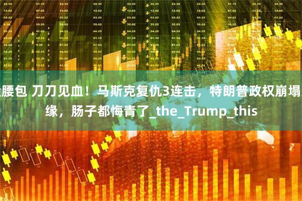 股腰包 刀刀见血!马斯克复仇3连击,特朗普政权崩塌边缘,肠子都悔青了_the_Trump_this